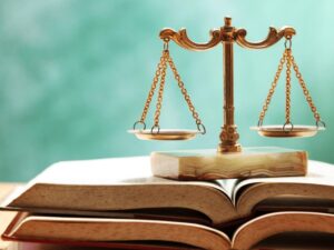 Học giỏi văn giúp tạo ra nhiều lợi thế cho người học Luật Kinh tế