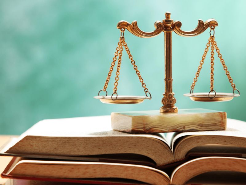 Học giỏi văn giúp tạo ra nhiều lợi thế cho người học Luật Kinh tế