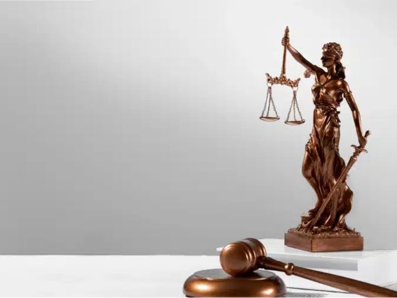 Luật Kinh tế đang là ngành học hot hiện nay