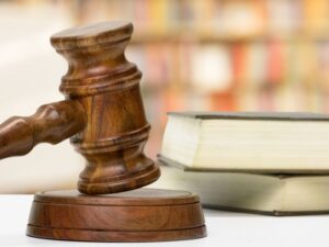 Ngành Luật và Luật Kinh tế có những điểm khác biệt